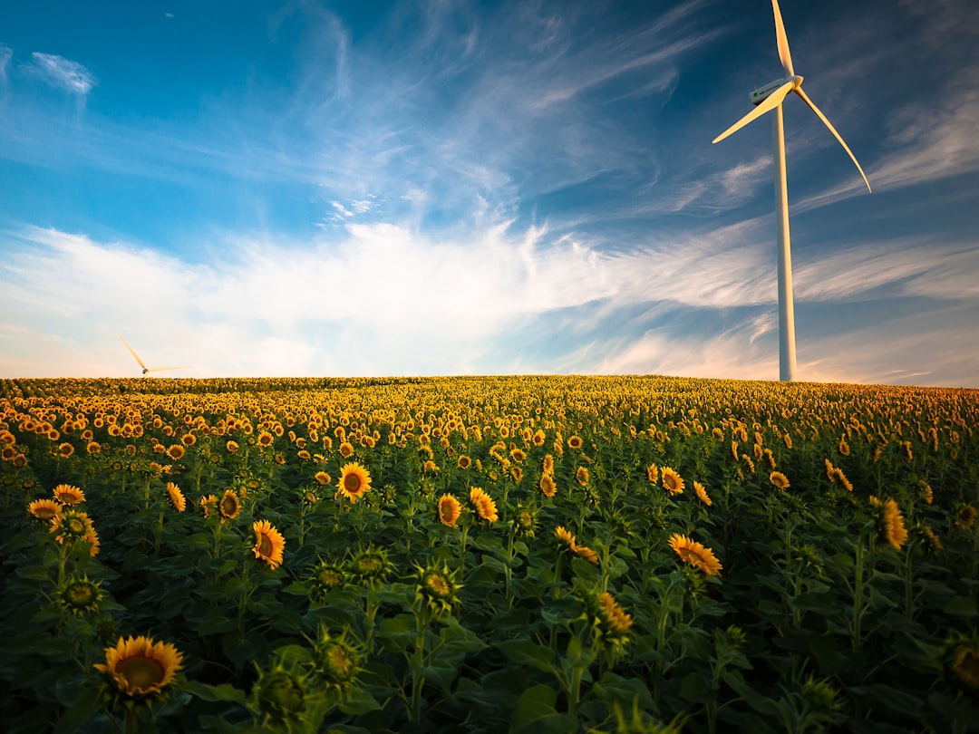 Renewable Energy