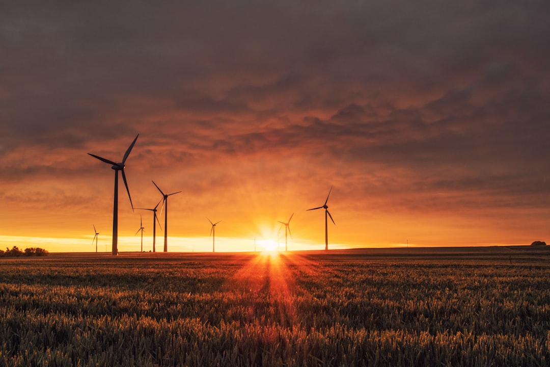 Sustainable City Inspiration