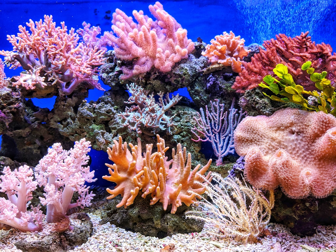 EcoWatch history